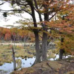 Carney: Canadians Will Still Call It Lake Ontario