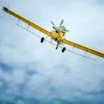 Colombia Weighs Pilot Aerial Spraying to Fight Coca Crops
