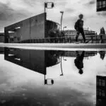 A Day of Illusion: Mirrors and Puddles as Truth-Tellers