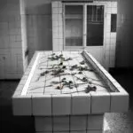Nearly 11,000 Bodies Sit Unclaimed in Mexico’s Morgues