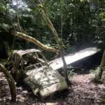 Family Speaks Out After Colombia Plane Crash Kills All 5 Aboard