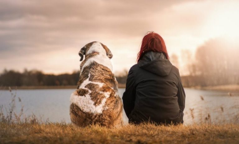 7 Ways To Prepare For Adopting a Pet