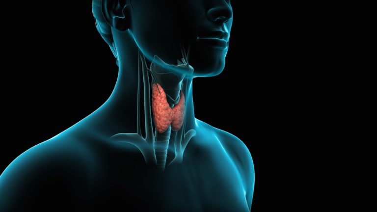 +10 Symptoms to Know If You Have Thyroid Problems