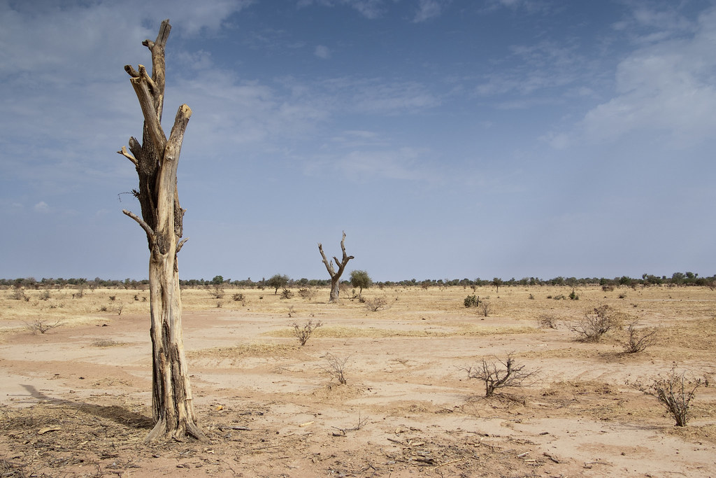 El Niño Water Shortage Threatens Mexico's GDP