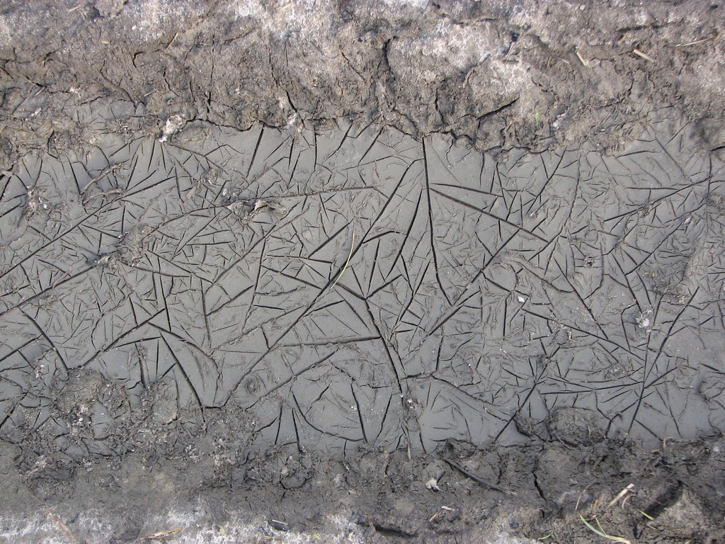 Drought in Chiapas Pushes 10,000 Farmers to Brink of Ruin