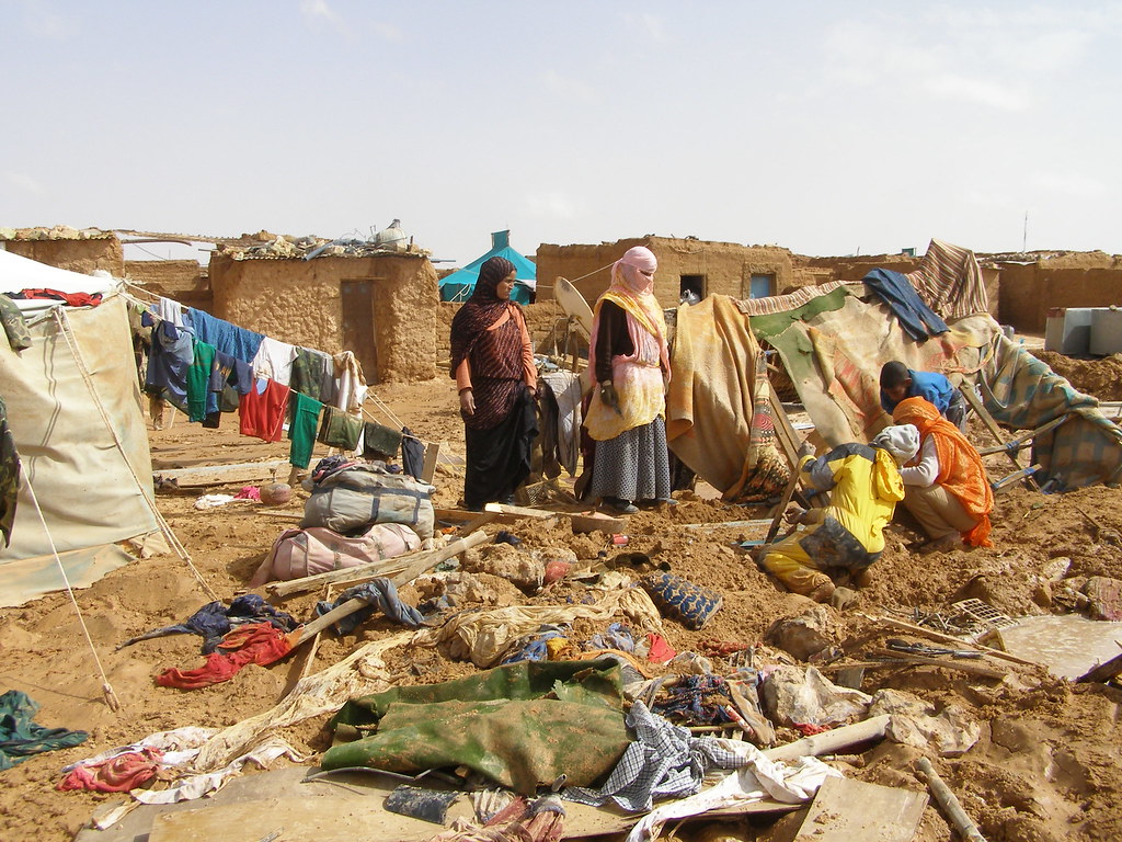 UN Reports Surge in Violence Against Women in Gaza