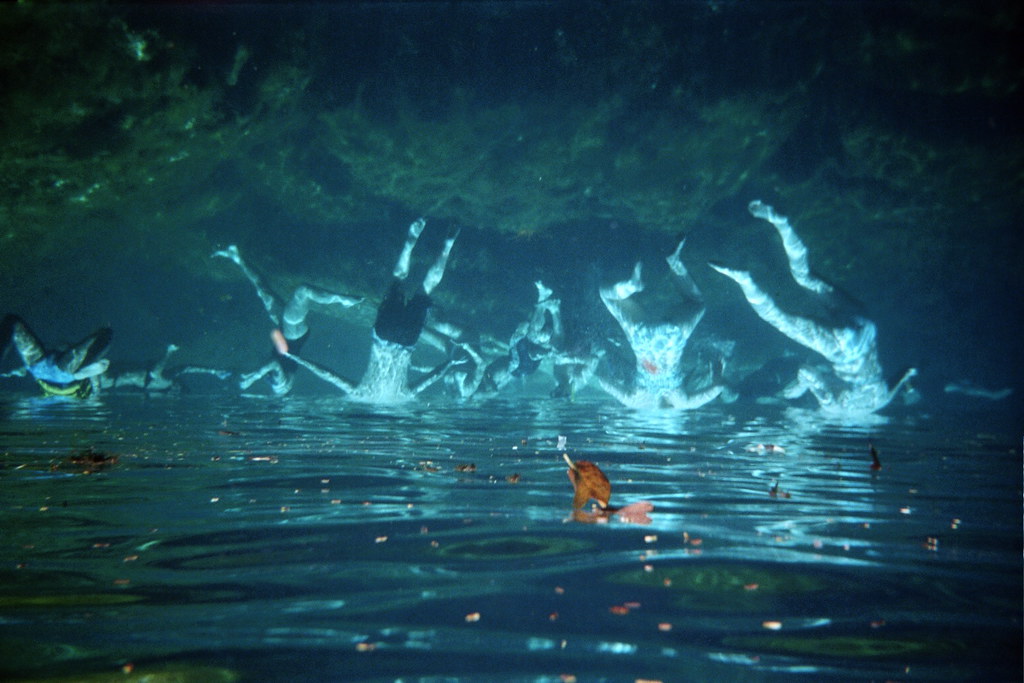 Yucatán Discharges 181 in 'Brain-Eating Amoeba' Scare