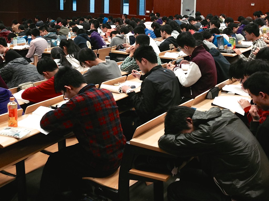 Colombia's Gender Gap in University Majors