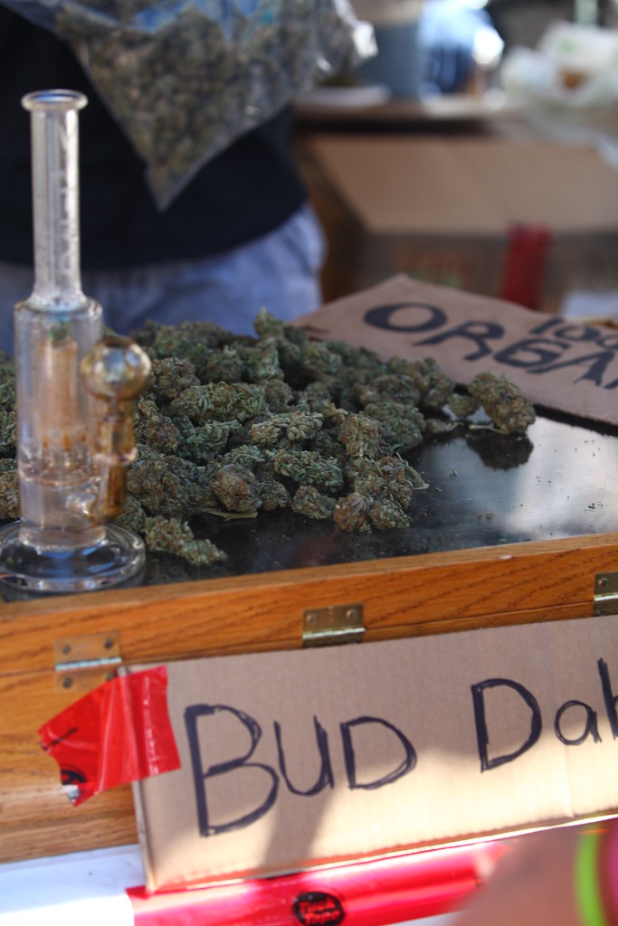 Mexico Court OKs Homemade Marijuana Edibles for Personal Use