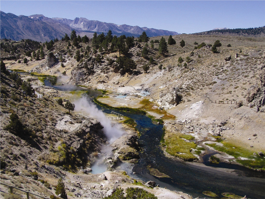 At 145°F, This Amoeba Keeps Its Cool