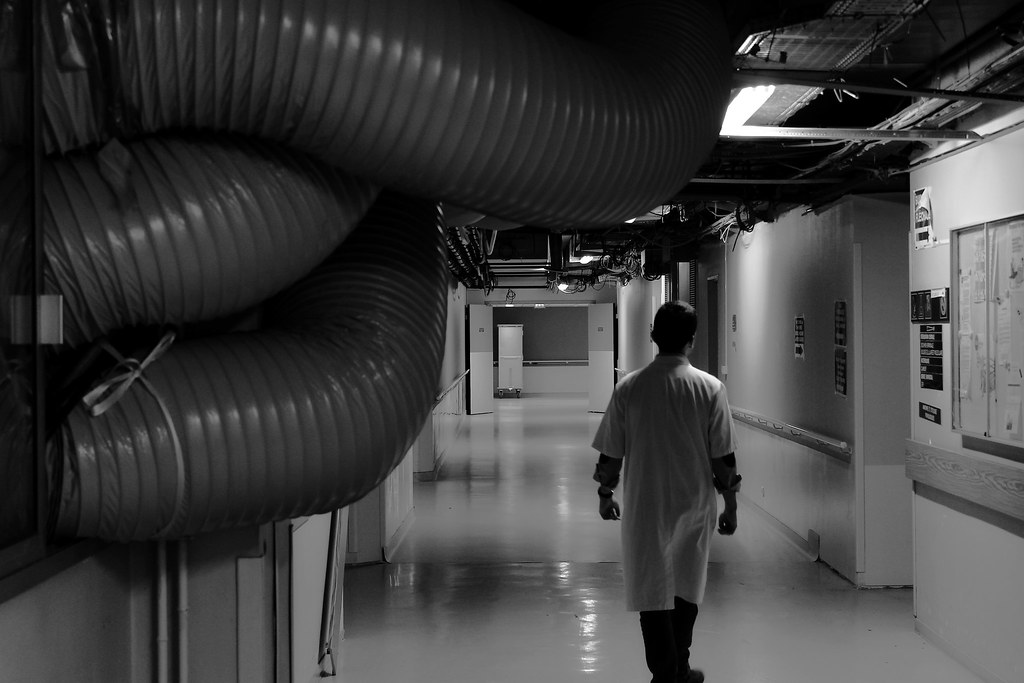 15 Medical Residents Hospitalized in Salmonella Outbreak…