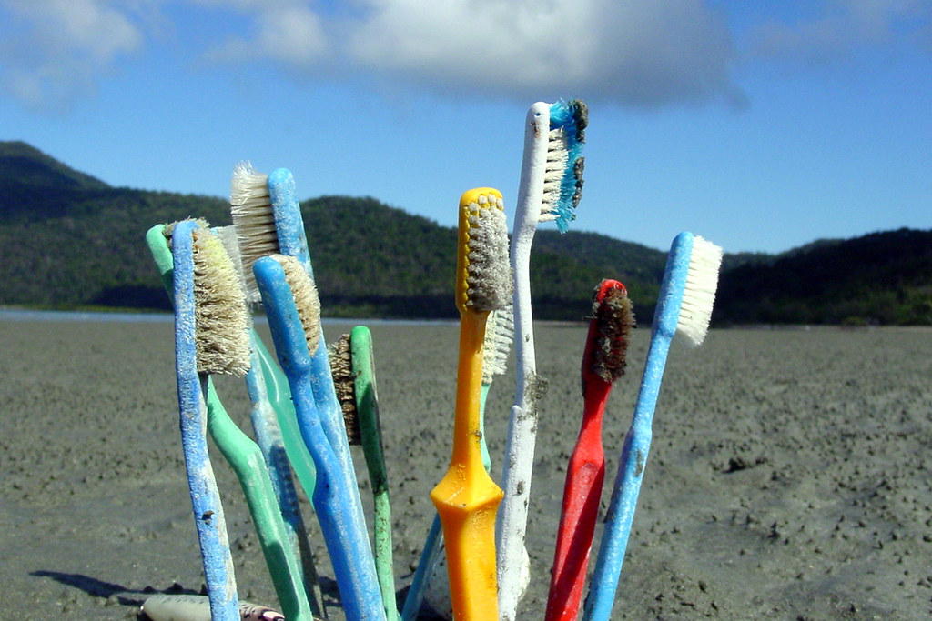 Mexican Navy Removes 315 Tons of Trash From Beaches