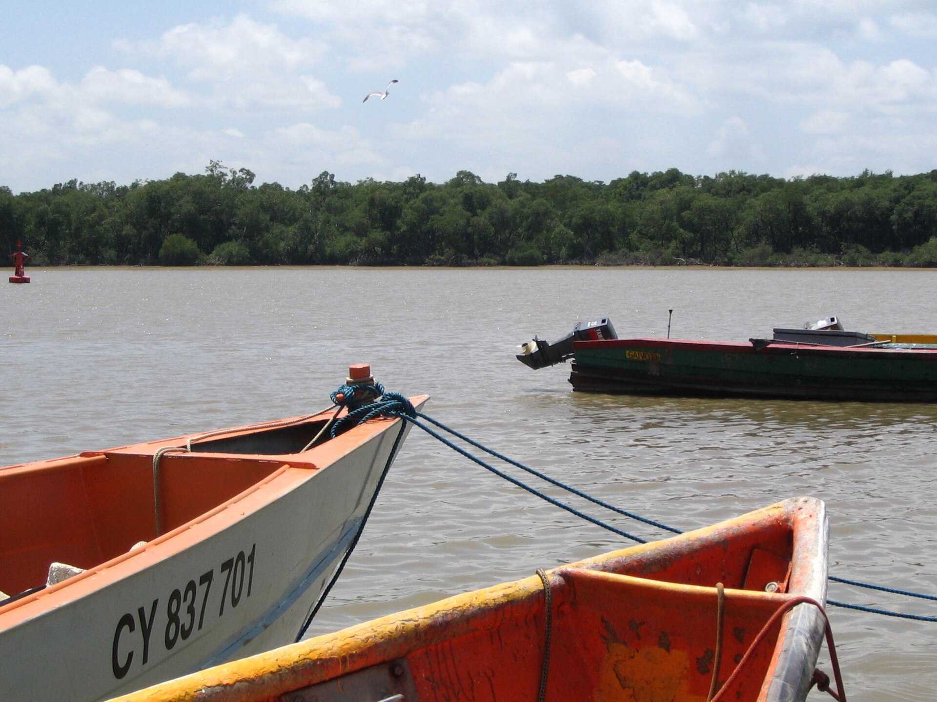 Wanted Brazilian Pilot Found Gravely Ill in Colombia