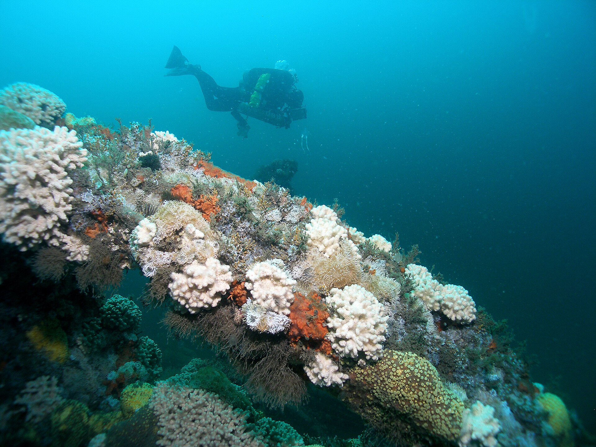 Diving Into the Wrecks of a Legendary Pirate Hideout