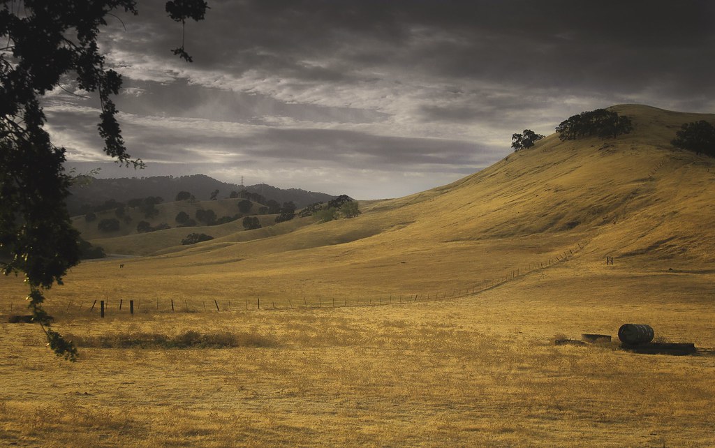 Epidemiologist Warns El Niño Could Trigger Health Crisis