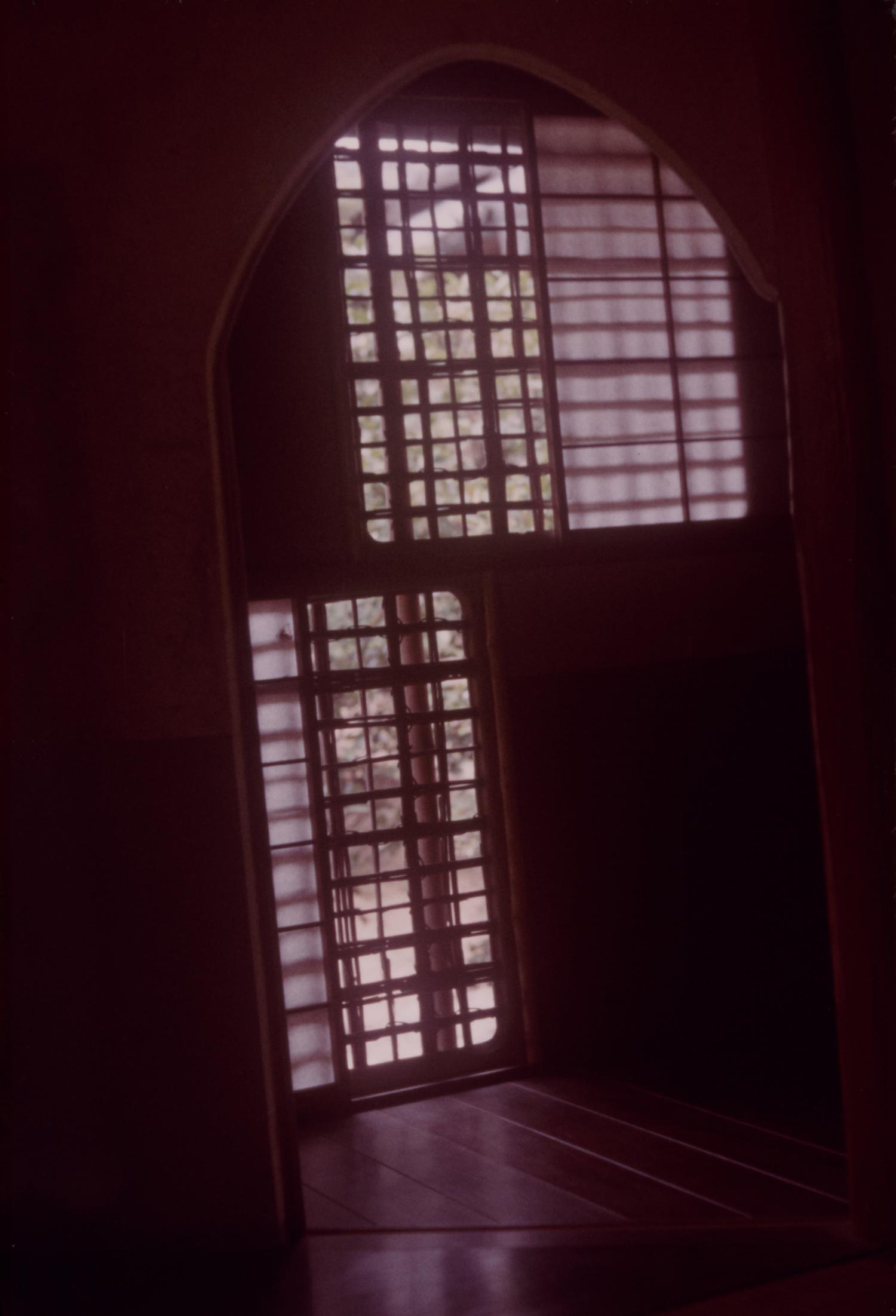 Image: Carlquist, Sherwin John, 1930-2021, BY 4.0 (via Openverse). A Meditation on Mirrors and the Arrival of Spring