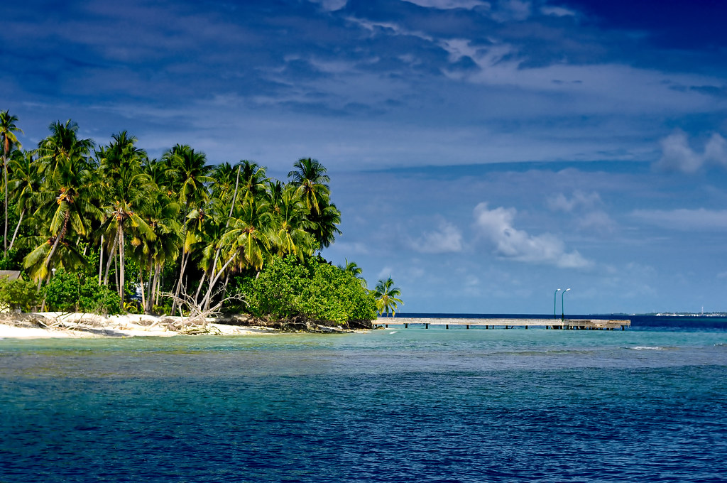 Image: nattu, BY 2.0 (via Openverse). AI and Satellites Team Up to Rebuild Vanishing Beaches