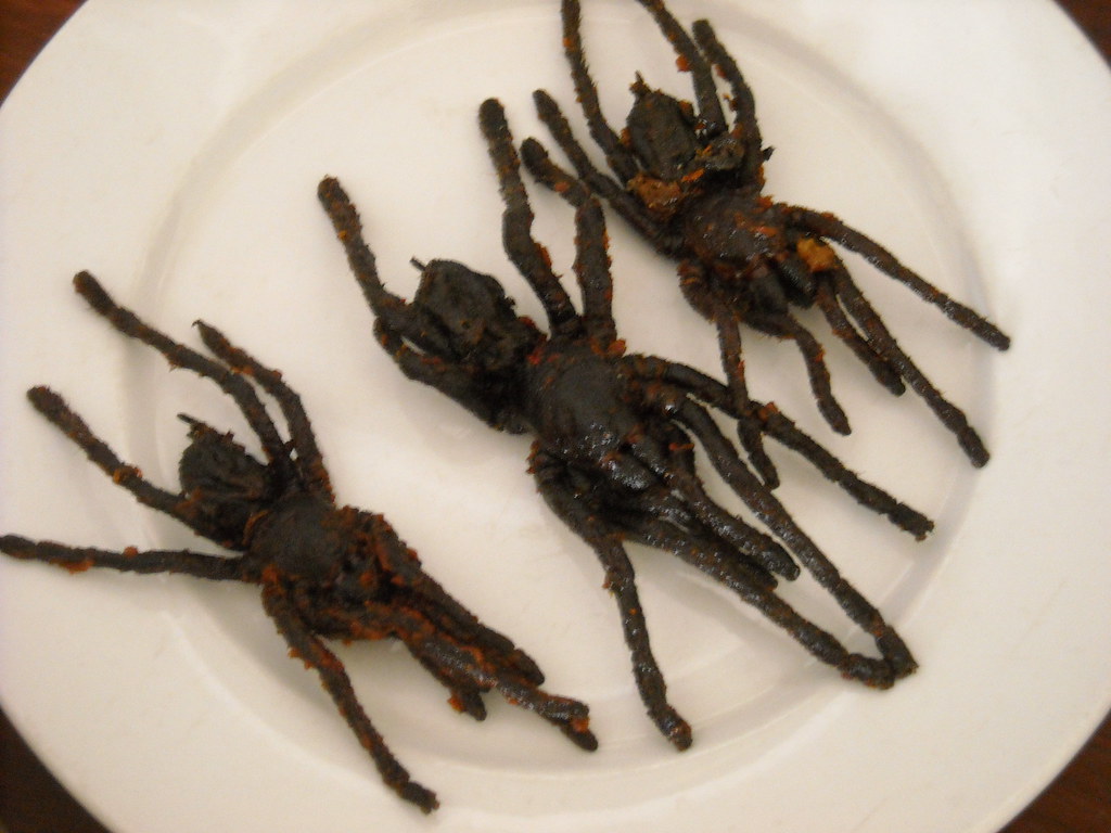 Image: Sistak, BY-SA 2.0 (via Openverse). David George Gordon, 'The Bug Chef,' Dies at 76