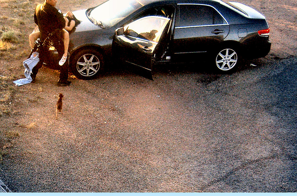 Cartel Turf War Grips Downtown Mexico City