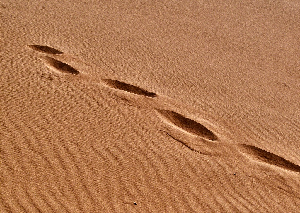 Betsabeé Romero Turns Migrant Footprints Into Memory
