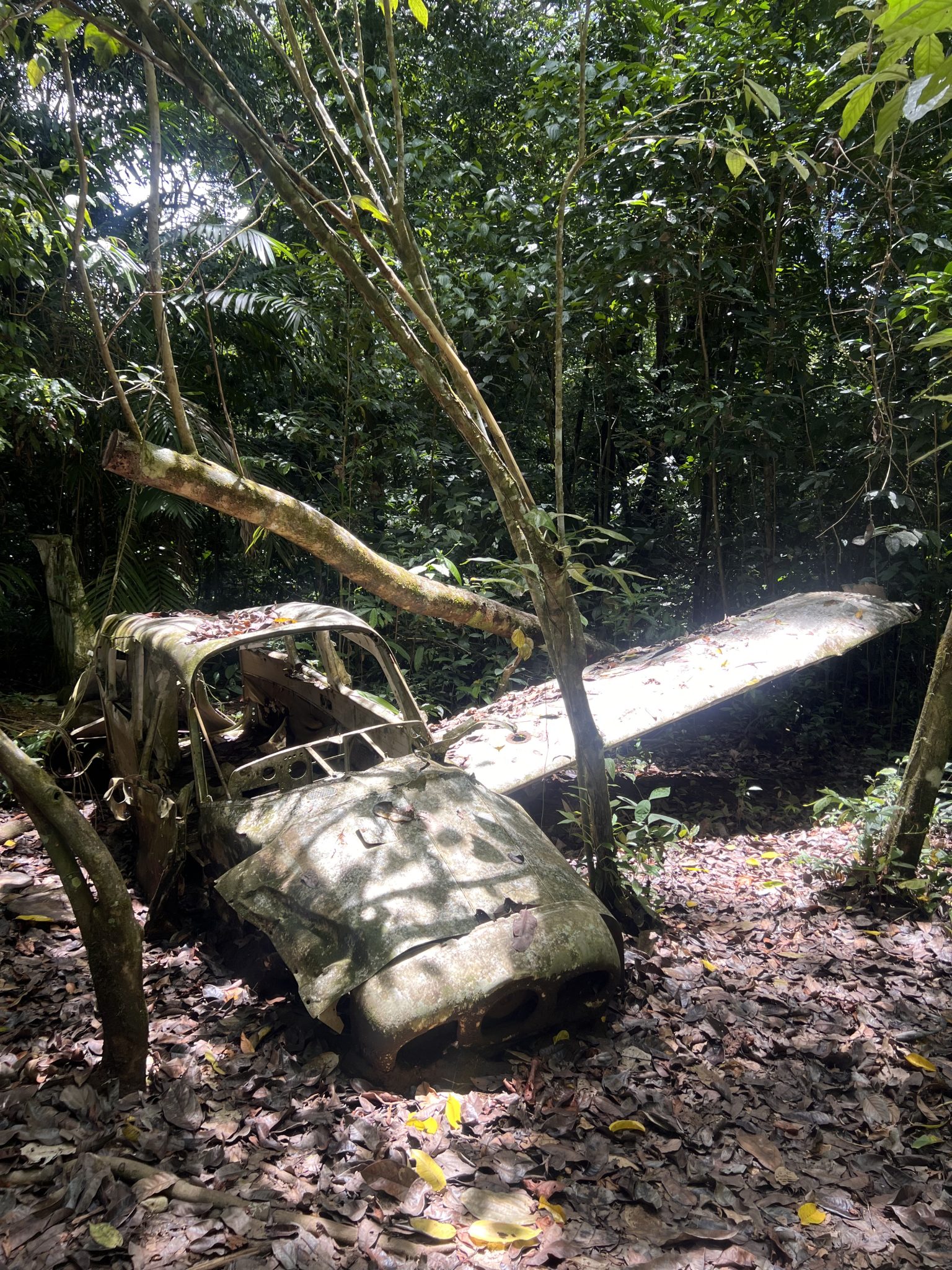 Air Force Finds Wreckage of Missing Colombian Plane
