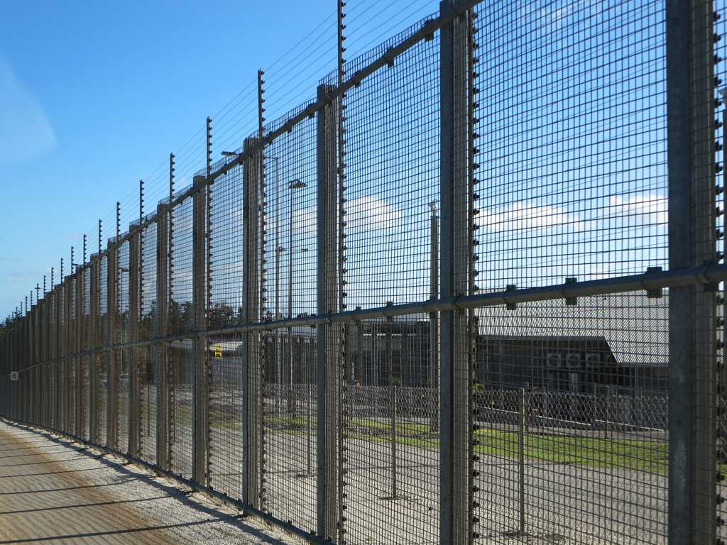 Costa Rican Immigrant Dies in ICE Custody in Louisiana