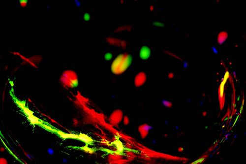 Nobel in Medicine Honors Brain Cell Switch Researchers