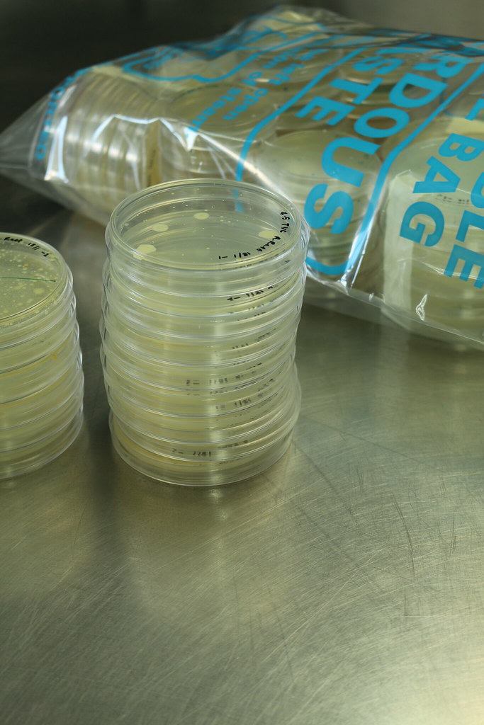 US Monitoring Russia Plague Lab Death, Trump Says