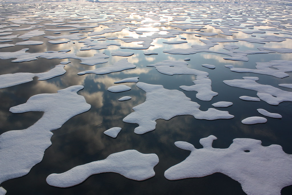Sea Ice Researcher Wins Prestigious MacArthur Grant